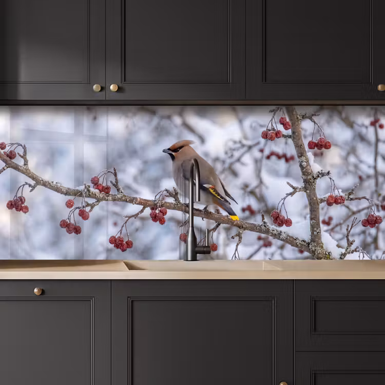 Pestvogel - Bessen - Winter - Natuur keuken achterwand 2 middel -sfeer1
