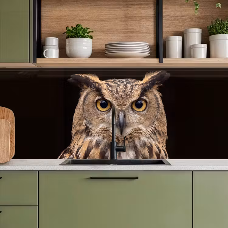 Oehoe - Uil - Portret - Bruin keuken achterwand 2 middel -sfeer3