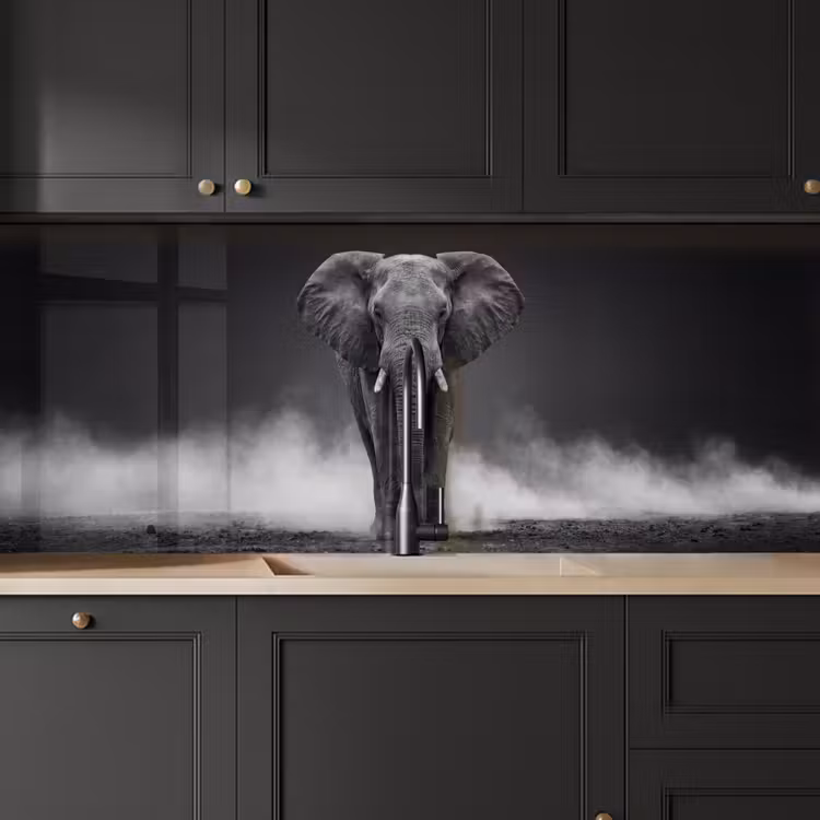 Olifant - Zwart - Wit - Rook keuken achterwand 2 middel -sfeer1