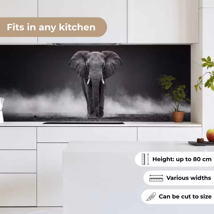 Olifant - Zwart - Wit - Rook keuken achterwand 2 middel -sfeer4_UK
