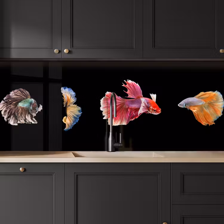Vissen - Kleurrijk - Dieren keuken achterwand 2 middel -sfeer1