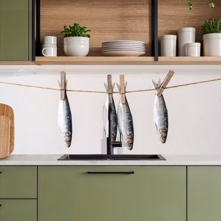 Kitchen Wall Splashback - Fish - Hanging - Food - Vis - Hangend - Eten keuken achterwand 2 middel