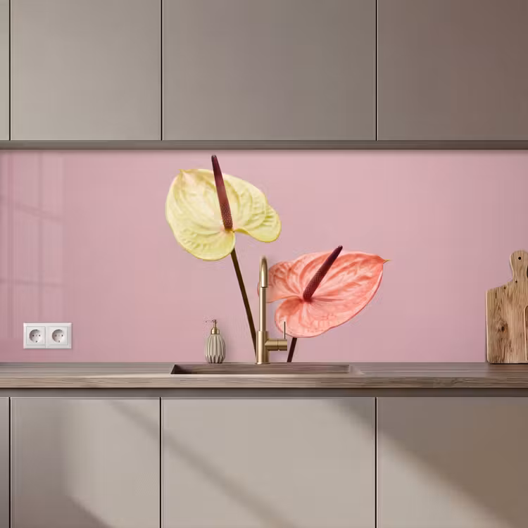 Bloemen - Anthuriums - Geel - Roze keuken achterwand 2 middel zz_3dshopping