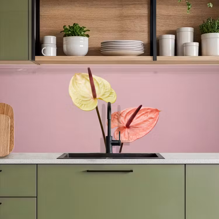 Bloemen - Anthuriums - Geel - Roze keuken achterwand 2 middel -sfeer3