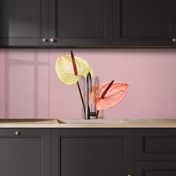 Bloemen - Anthuriums - Geel - Roze keuken achterwand 2 middel -sfeer1