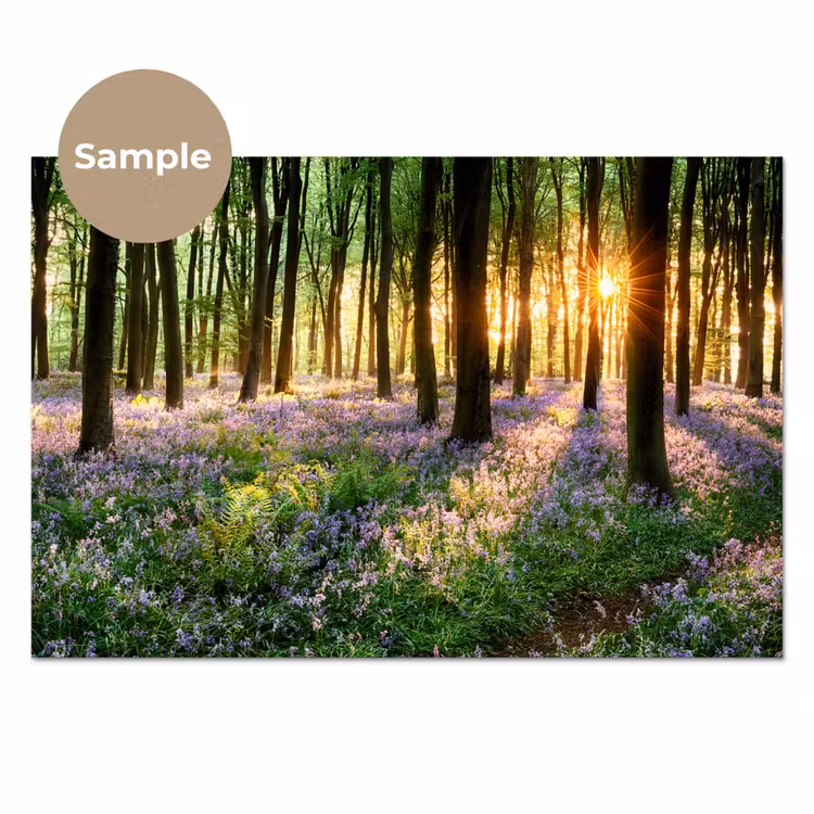 Bos - Bloemen - Lavendel - Zon - Paars - Natuur keuken achterwand sample klein -3d_EN