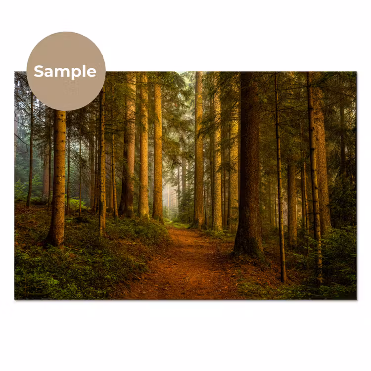 Bos - Natuur - Bomen - Landschap - Bladeren keuken achterwand sample klein -3d_EN