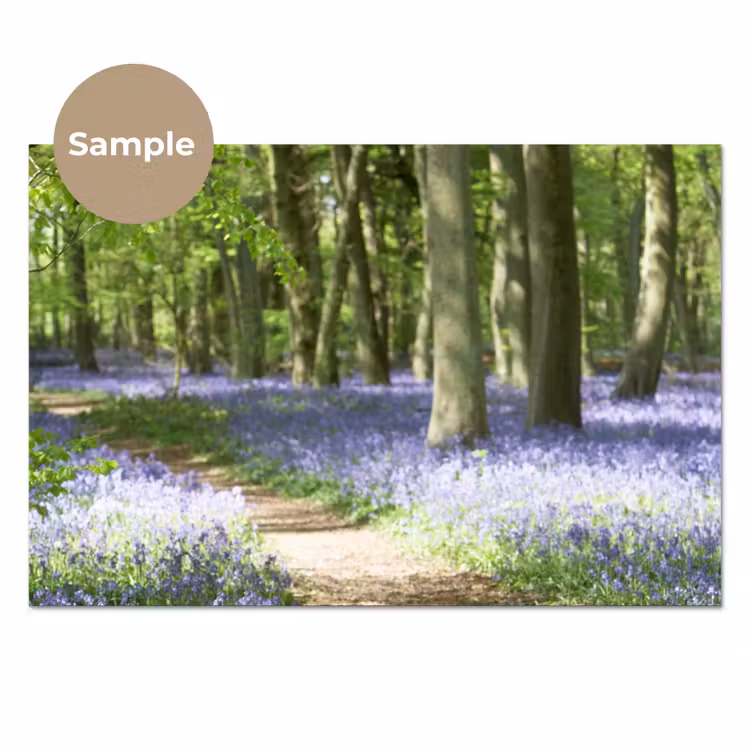 Bos - Pad - Bloemen - Paars - Groen - Natuur keuken achterwand sample klein -3d_EN
