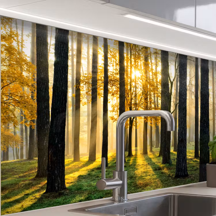 Bos - Zon - Bomen - Gras - Landschap - Natuur keuken achterwand sample klein -zzzz3d_schuin