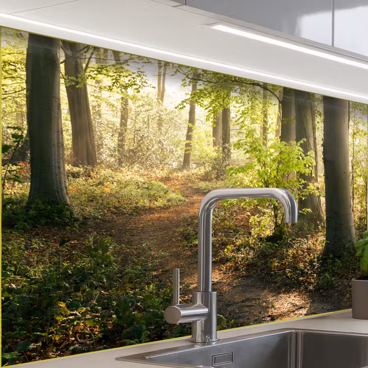 Bos - Bomen - Pad - Zon - Planten - Bladeren - Natuur keuken achterwand sample klein -zzzz3d_schuin