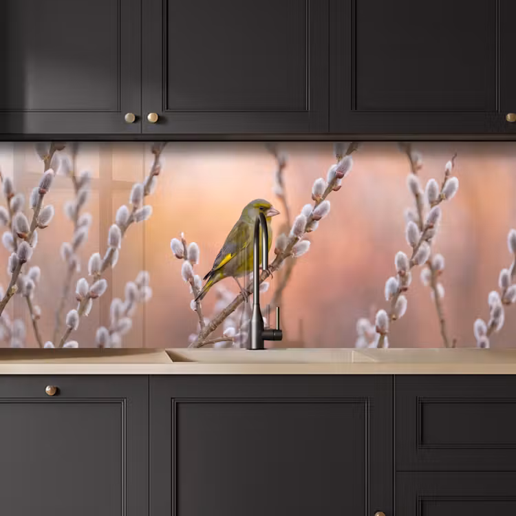Groenling - Katjes - Lente - Natuur - Zacht keuken achterwand 2 middel -sfeer1