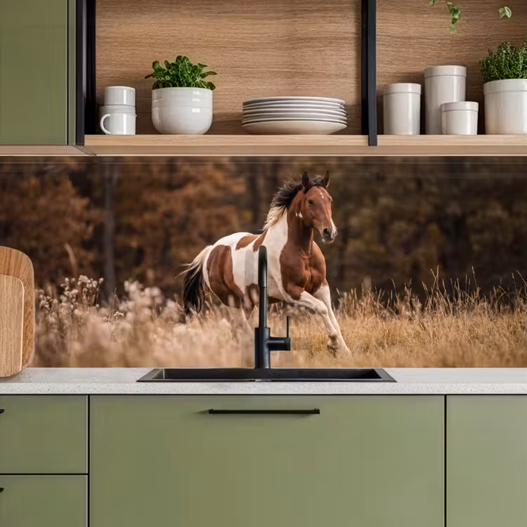 Paard - Bruin - Gras keuken achterwand 2 middel -sfeer3