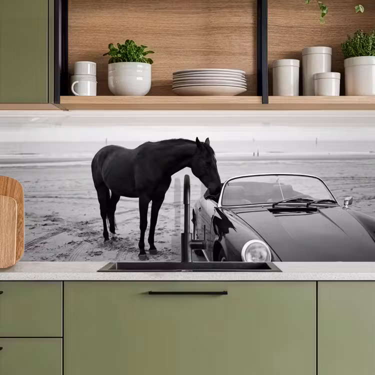 Paard - Auto - Zwart - Wit keuken achterwand 2 middel -sfeer3