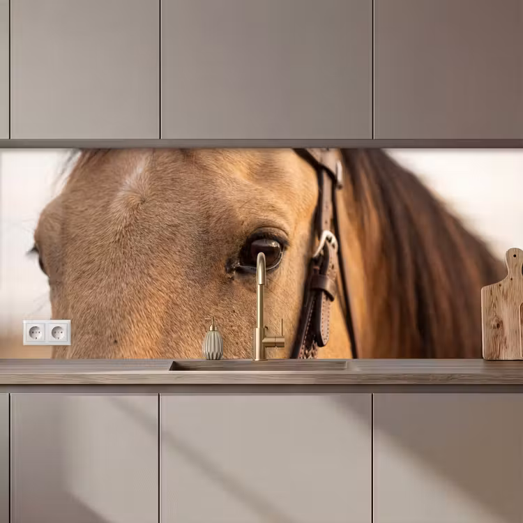 Paard - Oog - Bruin keuken achterwand 2 middel zz_3dshopping