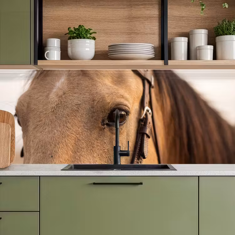 Paard - Oog - Bruin keuken achterwand 2 middel -sfeer3