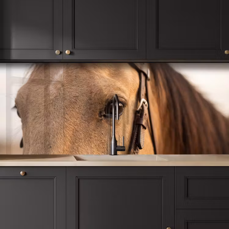 Paard - Oog - Bruin keuken achterwand 2 middel -sfeer1