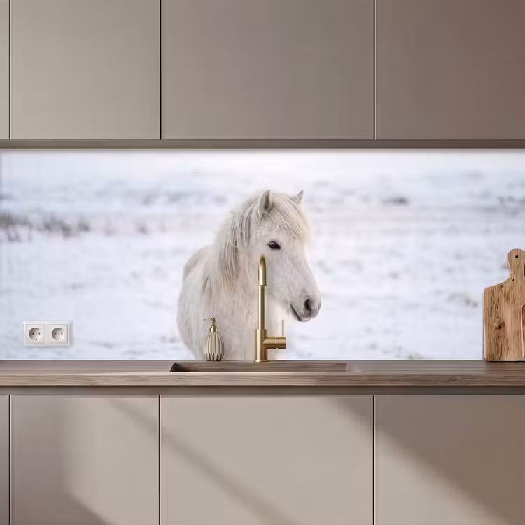 Paard - Kop - Winter - Dieren - Wit keuken achterwand 2 middel zz_3dshopping