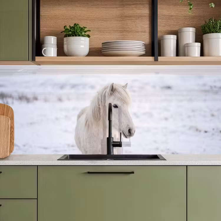 Paard - Kop - Winter - Dieren - Wit keuken achterwand 2 middel -sfeer3