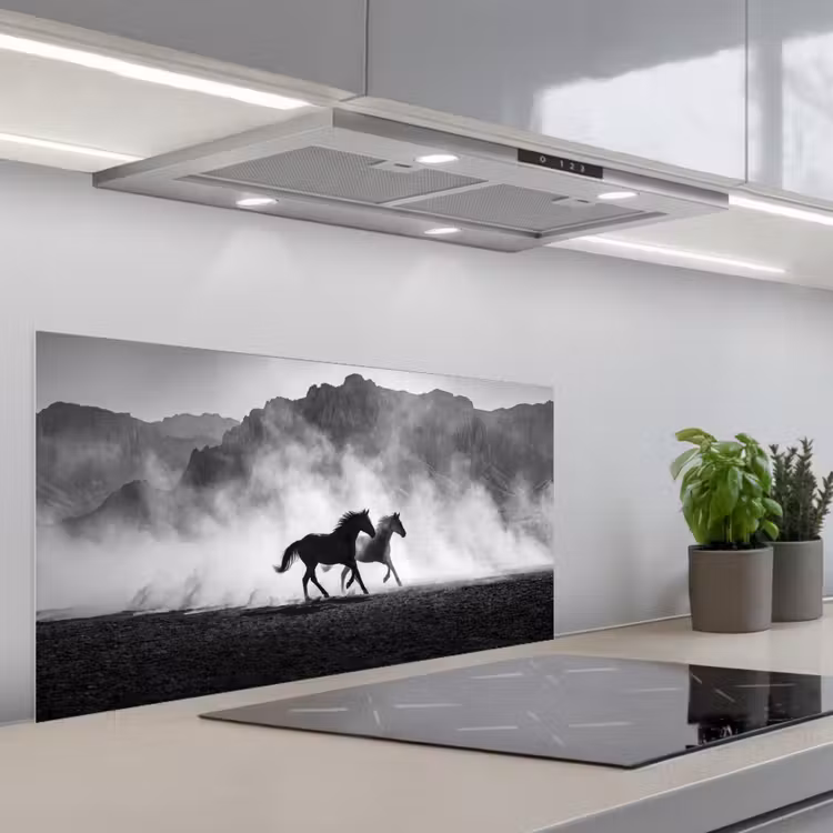 Paard - Ren - Stof - Zwart-wit - Dieren keuken achterwand spatscherm middel -3d_schuin