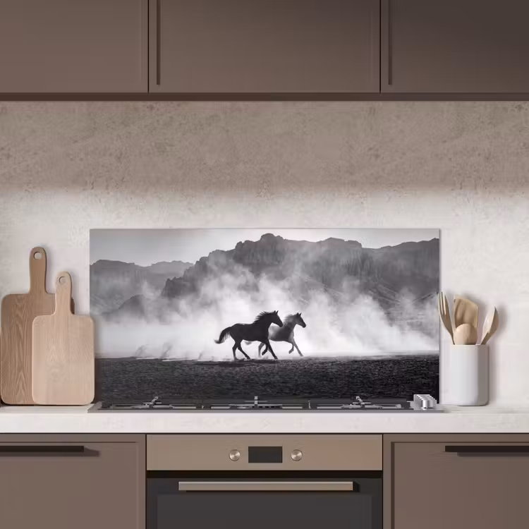 Paard - Ren - Stof - Zwart-wit - Dieren keuken achterwand spatscherm middel -sfeer2