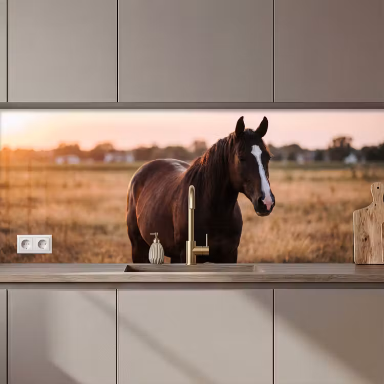 Paard - Zonsondergang - Bruin keuken achterwand 2 middel zz_3dshopping