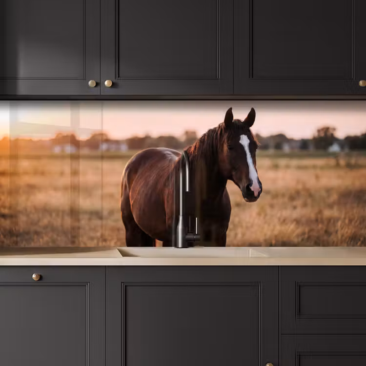 Paard - Zonsondergang - Bruin keuken achterwand 2 middel -sfeer1