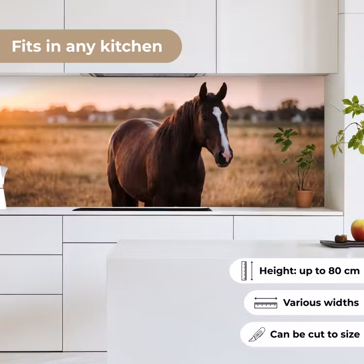 Paard - Zonsondergang - Bruin keuken achterwand 2 middel -sfeer4_UK