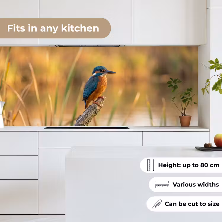 IJsvogel - Tak - Water - Kleurrijk - Levendig keuken achterwand 2 middel -sfeer4_UK