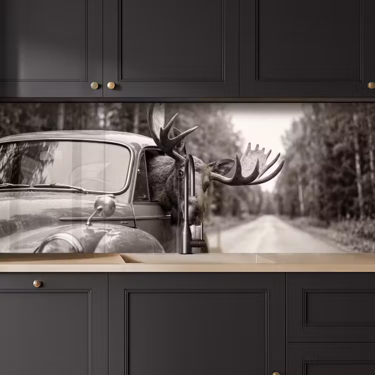 Eland - Auto - Gewei - Zwart - Wit keuken achterwand 2 middel -sfeer1
