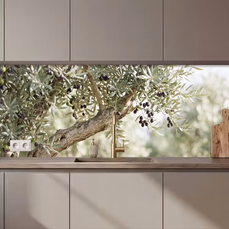 Kitchen Wall Splashback - Olive tree - branch - green - Olijfboom - tak - groen keuken achterwand 2 middel zz_3dshopping