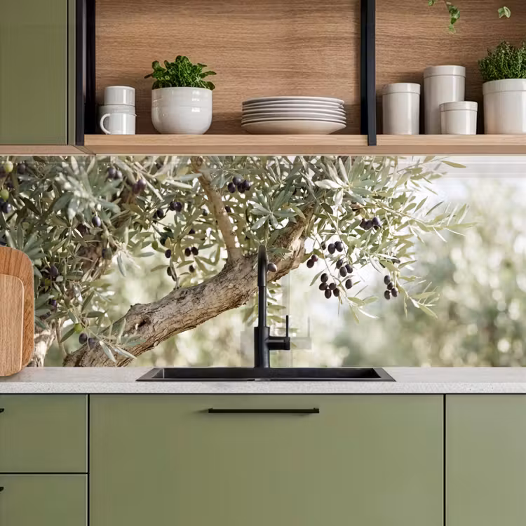 Kitchen Wall Splashback - Olive tree - branch - green - Olijfboom - tak - groen keuken achterwand 2 middel
