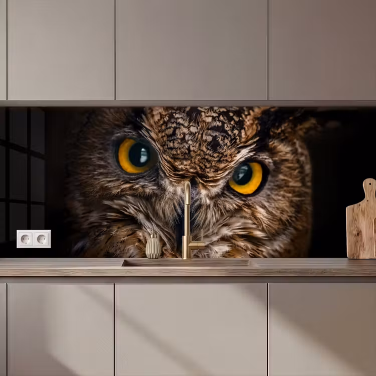 Uil - Dier - Oranje keuken achterwand 2 middel zz_3dshopping