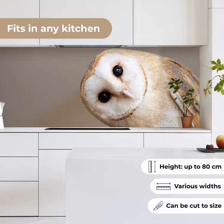 Uil - Bruin - Wit keuken achterwand 2 middel -sfeer4_UK