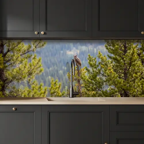 Uil - Oehoe - Bomen - Natuur keuken achterwand 2 middel -sfeer1
