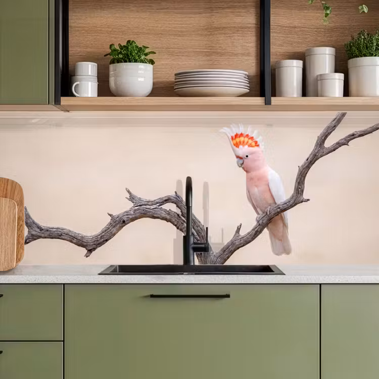 Papagaai - Tak - Roze keuken achterwand 2 middel -sfeer3