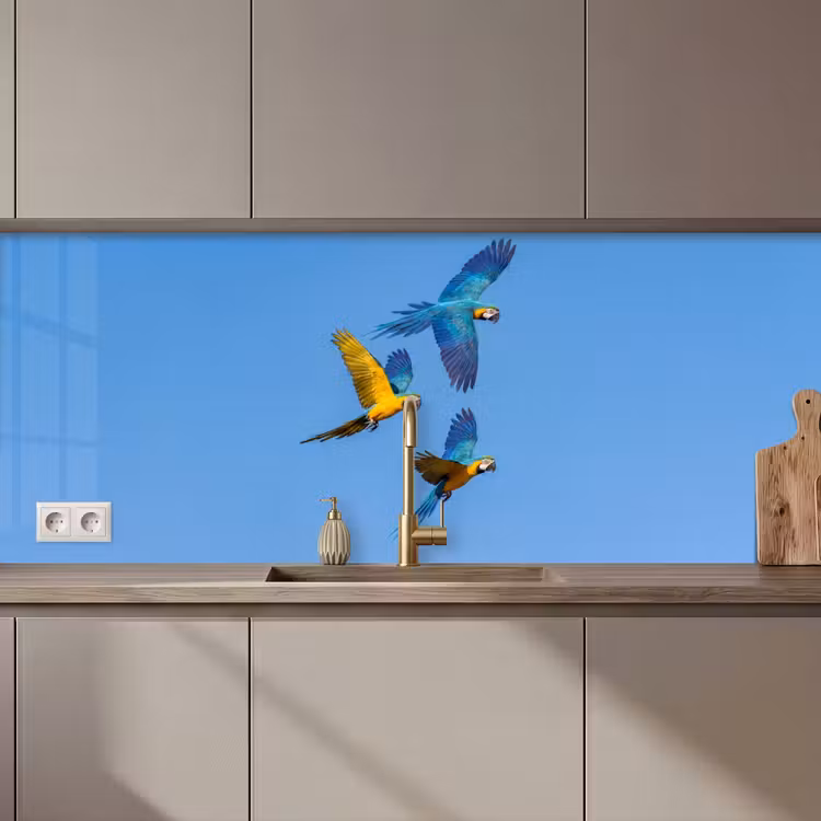 Papagaai - Vliegen - Blauw - Geel keuken achterwand 2 middel zz_3dshopping