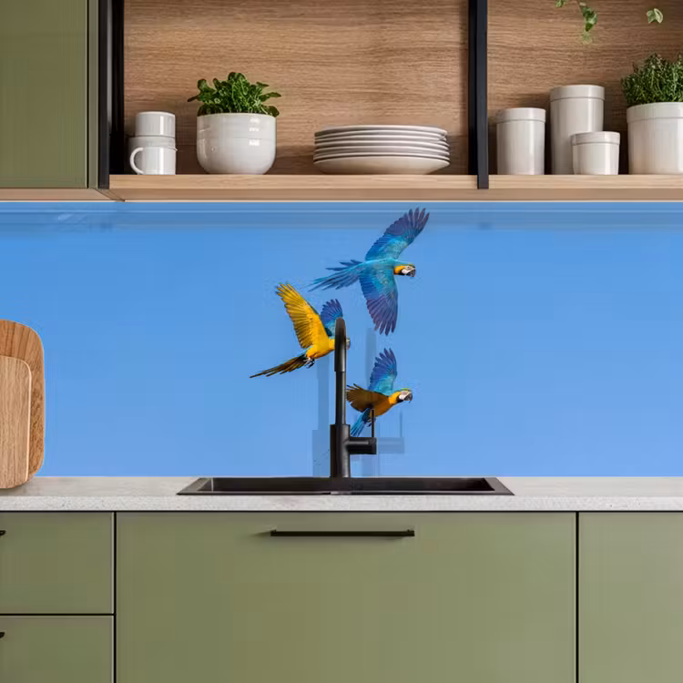 Papagaai - Vliegen - Blauw - Geel keuken achterwand 2 middel -sfeer3