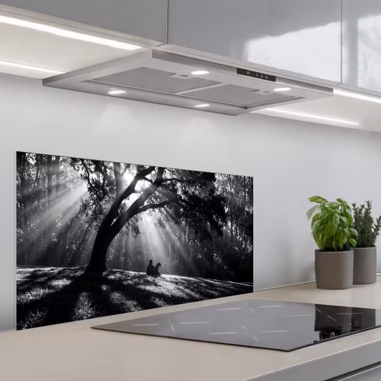 Mens - Hond - Natuur - Zwart-wit - Silhouet keuken achterwand spatscherm middel -3d_schuin