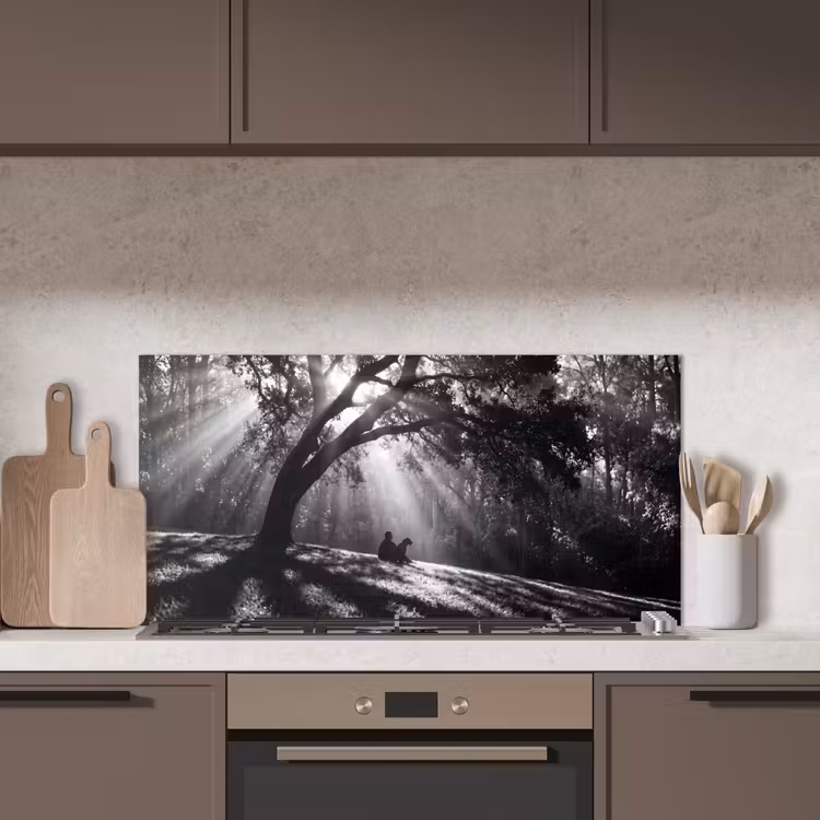 Mens - Hond - Natuur - Zwart-wit - Silhouet keuken achterwand spatscherm middel -sfeer2