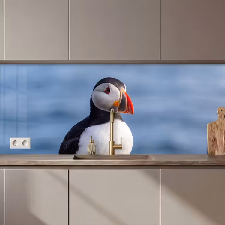 Papegaaiduiker - Portret - Natuur keuken achterwand 2 middel zz_3dshopping