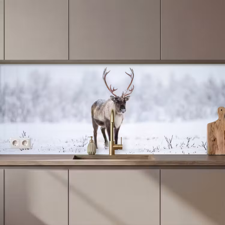 Rendier - Gewei - Toendra - Sneeuw - Wild keuken achterwand 2 middel zz_3dshopping