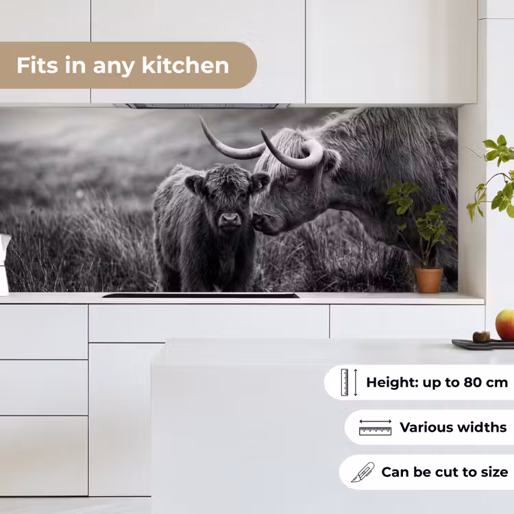 Schotse hooglander - Kalf - Zwart - Wit keuken achterwand 2 middel -sfeer4_UK