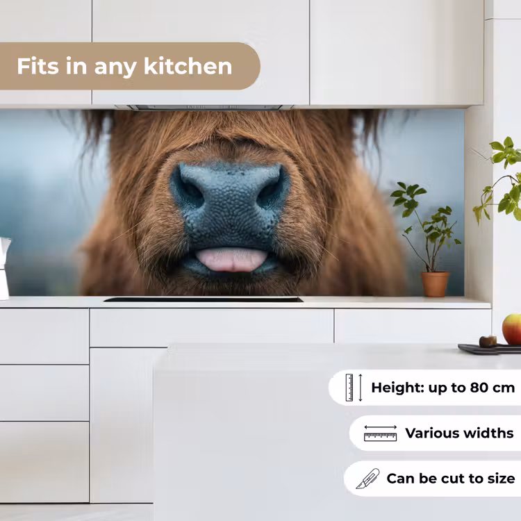 Schotse hooglander - Neus - Bruin keuken achterwand 2 middel -sfeer4_UK