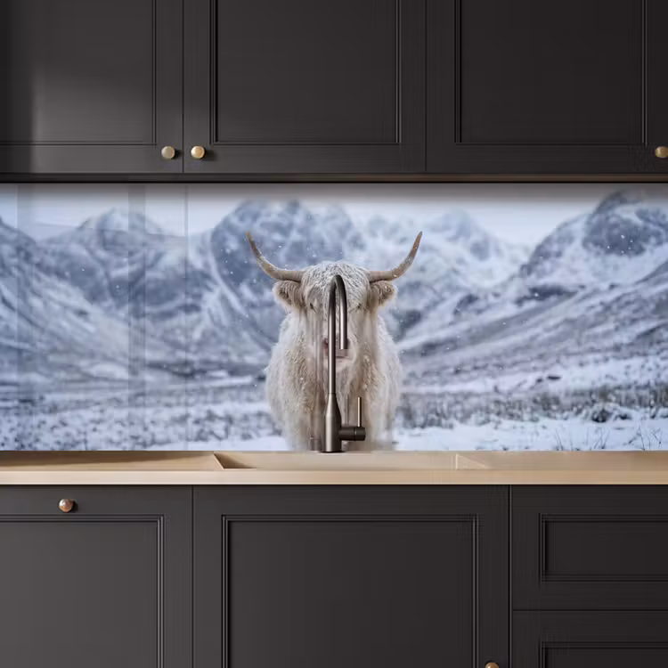 Schotse Hooglander - Sneeuw - Bergen - Winter keuken achterwand 2 middel -sfeer1