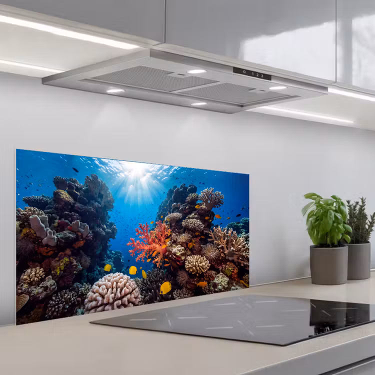 Zee - Koraalrif - Natuur - Levendig - Blauw keuken achterwand spatscherm middel -3d_schuin