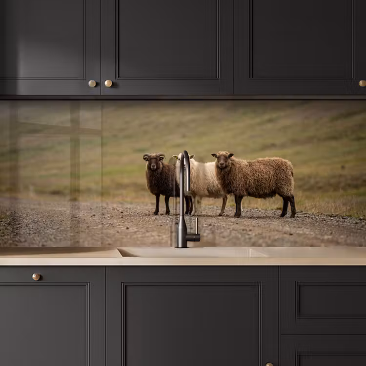 Schapen - Bruin - Wit - Grindpad keuken achterwand 2 middel -sfeer1