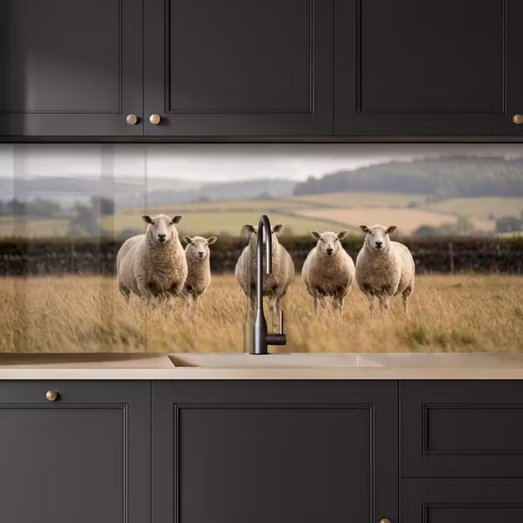 Schapen - Weidenlandschap - Heuvels keuken achterwand 2 middel -sfeer1