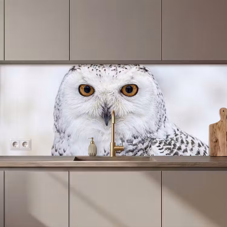 Sneeuwuil - Oog - Wildlife - Wit keuken achterwand 2 middel zz_3dshopping