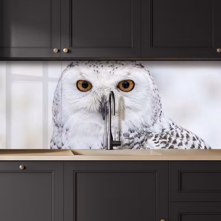 Sneeuwuil - Oog - Wildlife - Wit keuken achterwand 2 middel -sfeer1