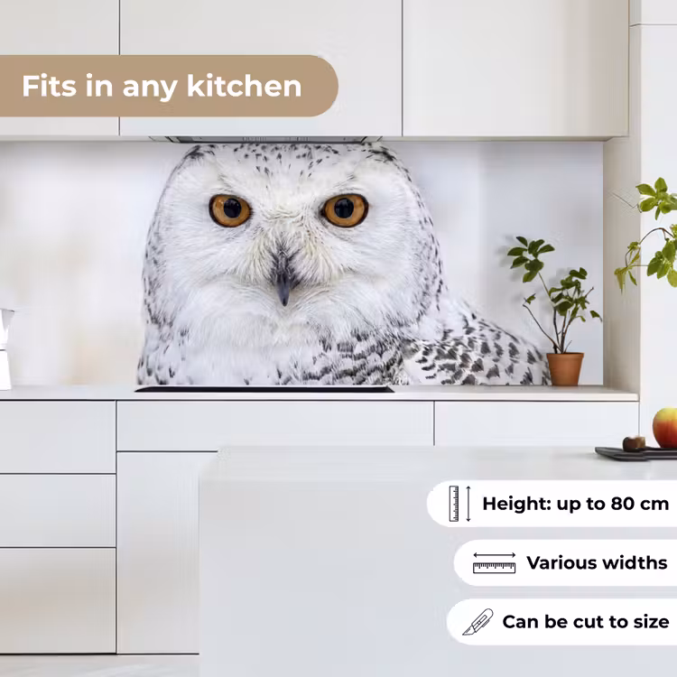 Sneeuwuil - Oog - Wildlife - Wit keuken achterwand 2 middel -sfeer4_UK